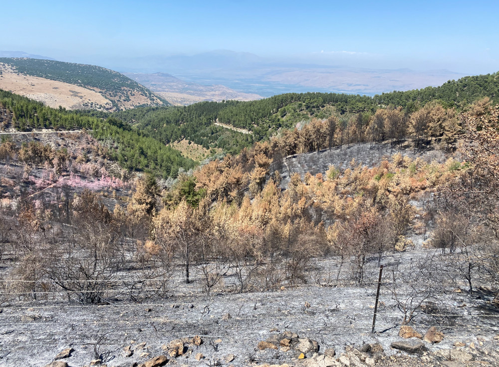 Burned area northern Israel