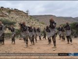 Islamic State Somalia (ISS) fighters